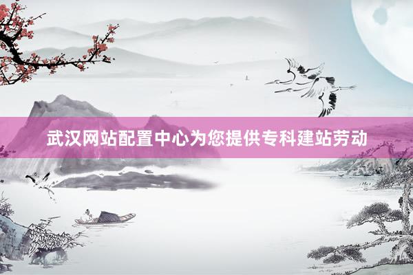 武汉网站配置中心为您提供专科建站劳动